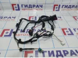 Проводка двери передней правой Geely Emgrand EC 7 1067001189.