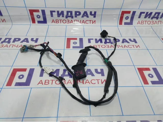 Проводка двери задней правой Geely Emgrand EC 7 1067001354.