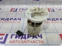 Насос топливный Geely Emgrand EC 7 113600012655.