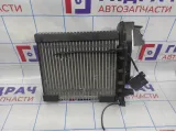 Испаритель кондиционера Geely Emgrand EC 7 1067000250.