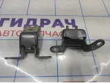 Петли двери задней правой Geely Emgrand EC 7 . Комплект.