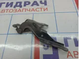 Петля капота правая Geely Emgrand EC 7 1062002606.