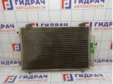 Радиатор кондиционера Geely Emgrand EC 7 1067000139.