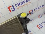 Радиатор основной Geely Emgrand EC 7 1066001218.