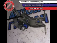 петля двери шт Geely Emgrand EC7