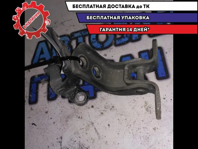 петля двери шт Geely Emgrand EC7