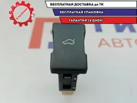 Кнопка открывания багажника Geely Emgrand EC7 1067001076.