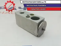 Клапан кондиционера Geely Emgrand EC7 1061001244.