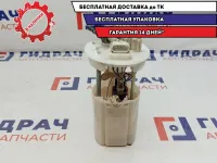 Насос топливный Geely Emgrand EC7 113600012655.