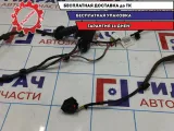 Проводка двери задней правой Geely Emgrand EC7 1067001353.