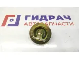 Болт крепления запасного колеса Geely Emgrand EC7 1068020109.