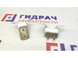 Петли двери задней правой Geely Emgrand EC7 . Пара.