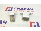 Петли двери задней левой Geely Emgrand EC7 . Пара.