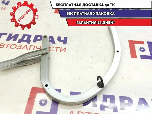 Петля крышки багажника Geely Emgrand EC7 1062002917.