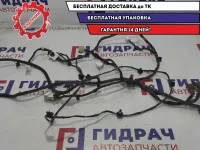 Проводка багажного отделения Geely Emgrand EC7 1067001183.