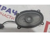 Динамик Geely Emgrand EC7 1067001039.