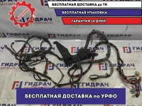 Проводка моторная Geely Emgrand EC7 1067002936. Дефект, есть обрывы.