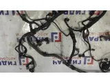Проводка подкапотная Geely Emgrand EC7 1067002202. Дефект, есть обрывы.