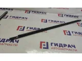 Накладка стекла заднего левого Geely Emgrand EC7 1068002109.