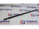 Накладка стекла заднего правого Geely Emgrand EC7 1068002147.