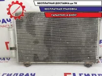 Радиатор кондиционера Geely Emgrand EC7 1067000139.