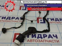 Проводка двери передней левой Geely Emgrand EC7 1067001147.
