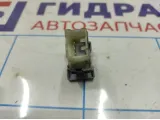 Кнопка открывания багажника Geely Emgrand EC7 1067001076.