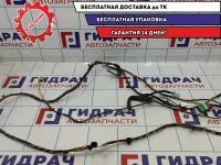 Проводка потолка Geely Emgrand EC7 1067001145.