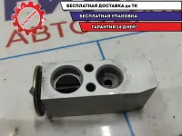 Клапан кондиционера Geely Emgrand EC7 1061001244.