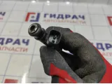 Форсунка инжекторная электрическая Geely Emgrand EC7 25376995.