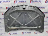 Капот Geely Emgrand EC7 106200259102