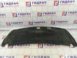 Обшивка крышки багажника Geely Emgrand EC7 1068002176