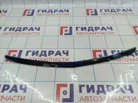 Накладка декоративная капота Geely Emgrand EC7 1068002014
