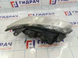 Фара левая Geely Emgrand EC7 1067001211