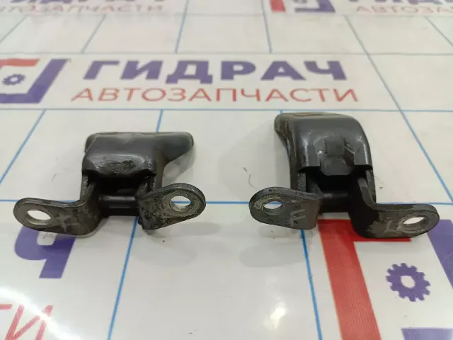 Петли двери передней левой Geely Emgrand EC7