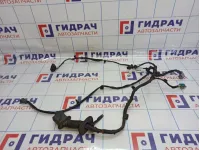 Проводка двери передней левой Geely Emgrand EC7 1067001188