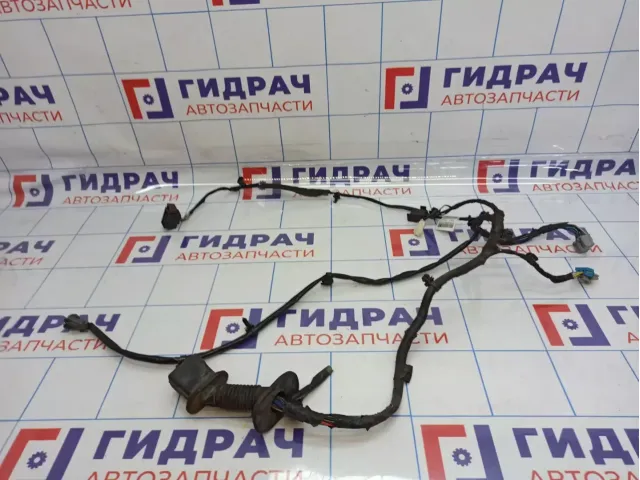 Проводка двери передней левой Geely Emgrand EC7 1067001188