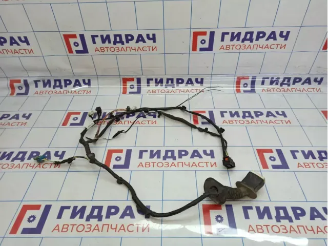 Проводка двери передней правой Geely Emgrand EC7 1067001189