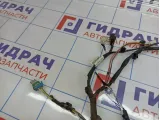Проводка двери передней правой Geely Emgrand EC7 1067001189