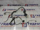 Проводка двери передней правой Geely Emgrand EC7 1067001189