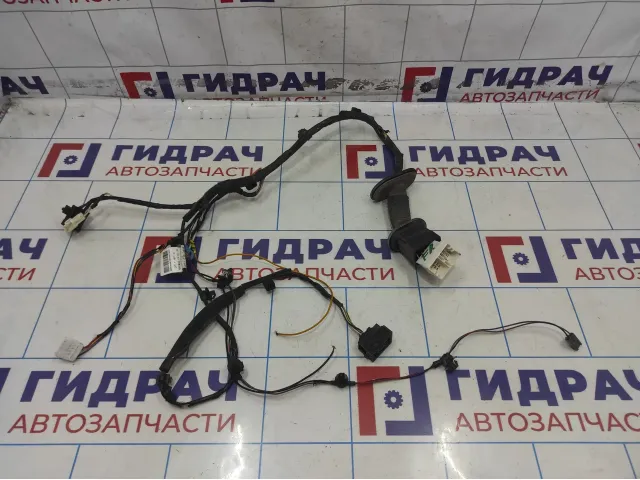 Проводка двери передней правой Geely Emgrand EC7 1067001189