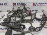 Проводка моторная Geely Emgrand EC7