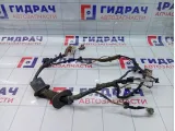 Проводка двери передней левой Geely Emgrand EC7 1017025973