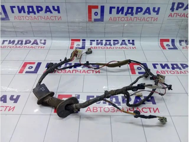 Проводка двери передней левой Geely Emgrand EC7 1017025973