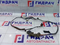 Проводка двери задней левой Geely Emgrand EC7 1067001190