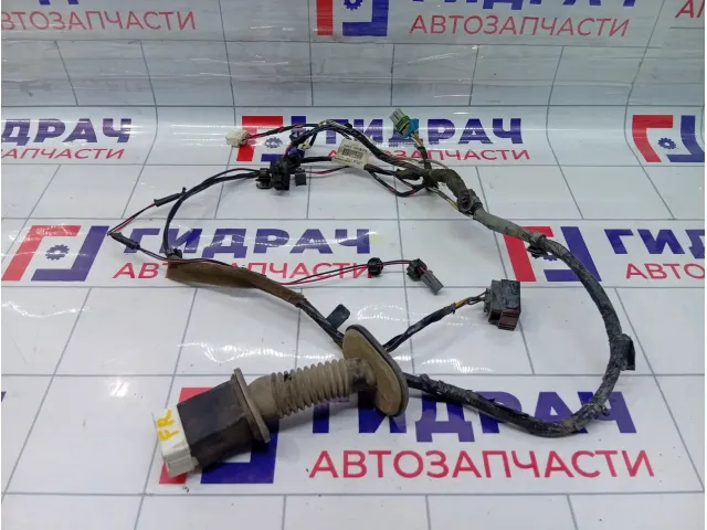 Проводка двери передней правой Geely Emgrand EC7 1067001189