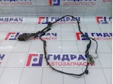 Проводка двери задней правой Geely Emgrand EC7 1067001354