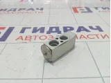 Клапан кондиционера Geely Emgrand EC7 1061001244