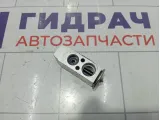 Клапан кондиционера Geely Emgrand EC7 1061001244