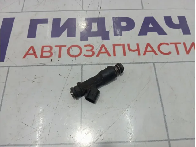 Форсунка инжекторная Geely Emgrand EC7 25376995